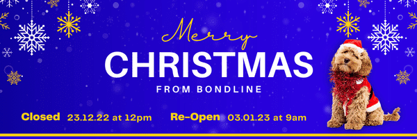 Merry Christmas 2022 Email Signature Design (FINAL)