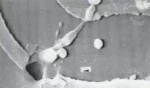 An image showing an electronic component with catastrophic failure. Bondline Electronics Ltd.