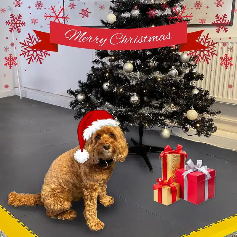 Mollie by Bondline Christmas Tree 2023.